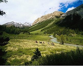 《生化危机Re：Verse》将更新 添加新生存者地图服装等