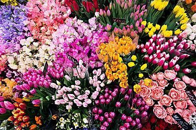 地下城冒险游戏《魔卡地下城》发售日公开